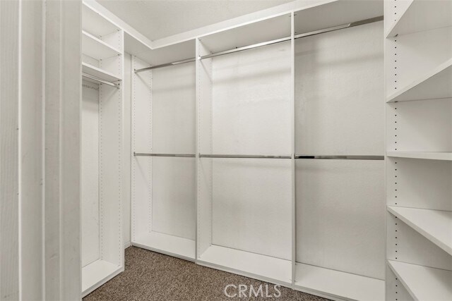 Building Photo - 26631 Brandon