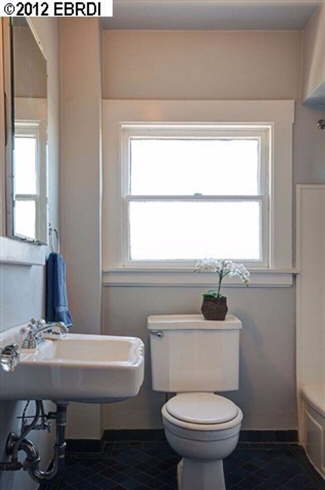 Building Photo - Gorgeous North Berkeley 3 Bedroom