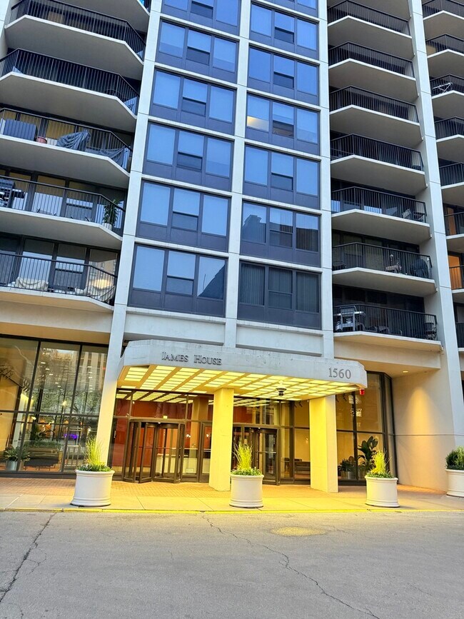 Building Photo - 1560 N Sandburg Terrace