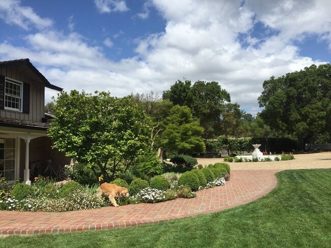 Building Photo - 25567 Willow Pond Ln