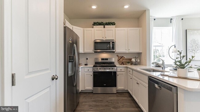 Building Photo - 141 Mazzeo Dr