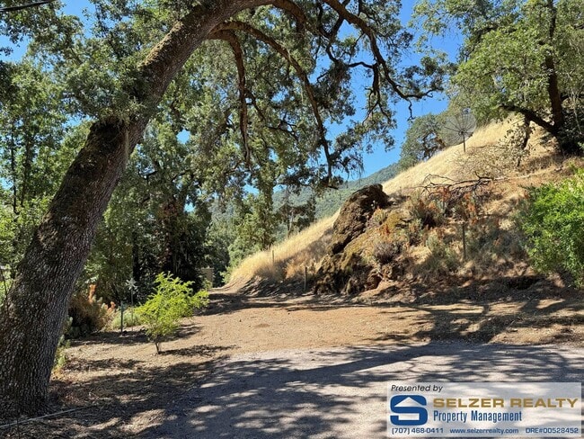 Building Photo - Newly renovated 3 bd. home set amongst the...