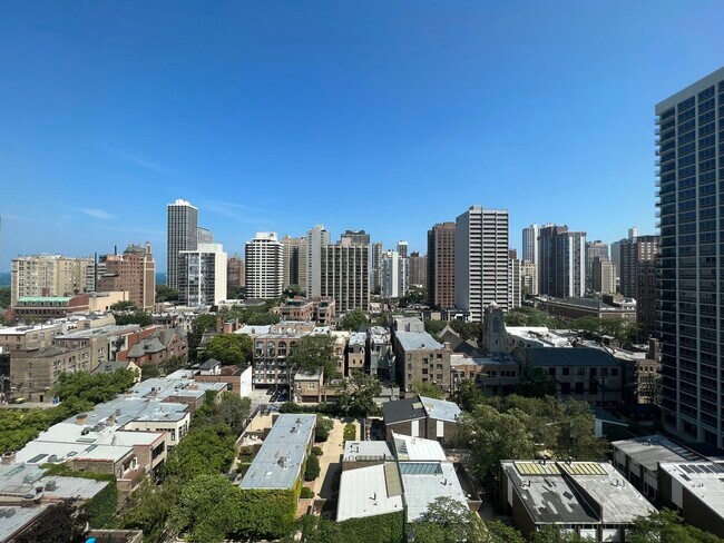 Building Photo - 1455 N Sandburg Terrace