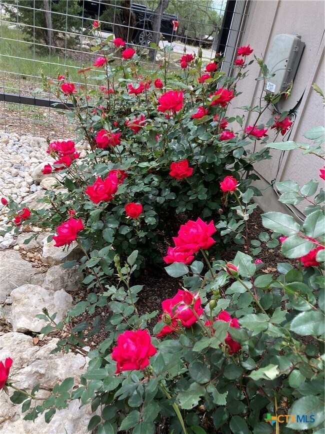 Building Photo - 2046 Mulberry Cir