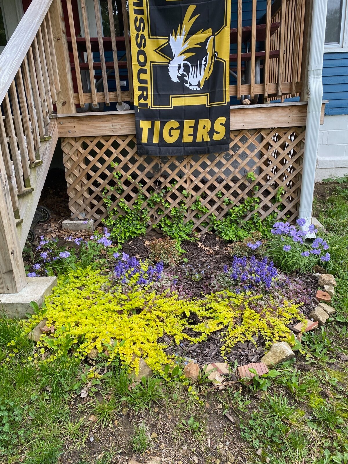 small flower garden by porch - 119 Fyfer Pl