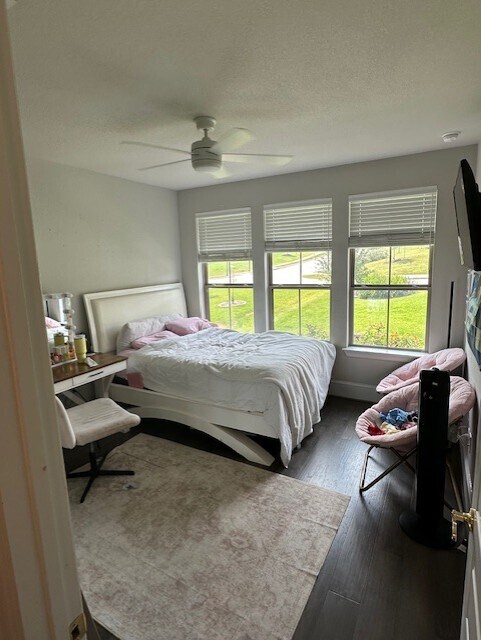Building Photo - 402 San Donato Dr