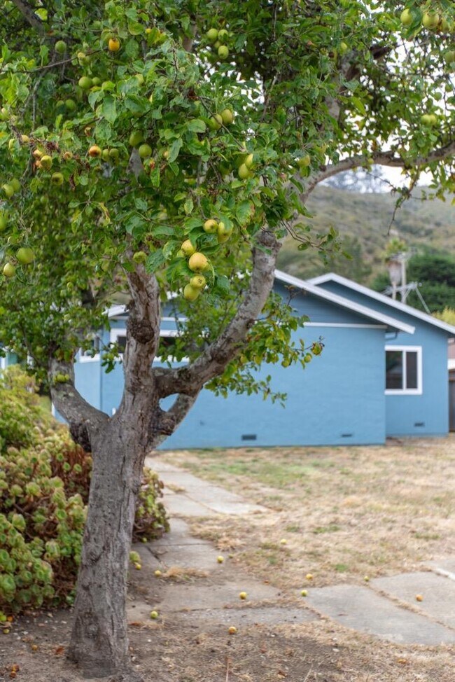 Building Photo - 1651 Rosita Rd