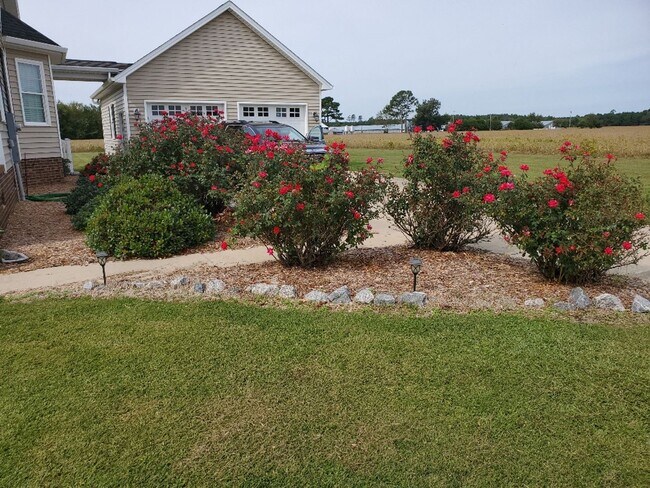 Building Photo - You have to see this beauty!