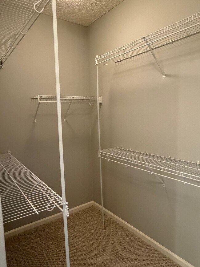 Building Photo - Beautiful Home in Sun City - Freshly Painted, New Flooring!