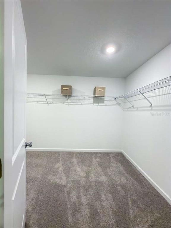 Building Photo - 3212 Alpine Wy