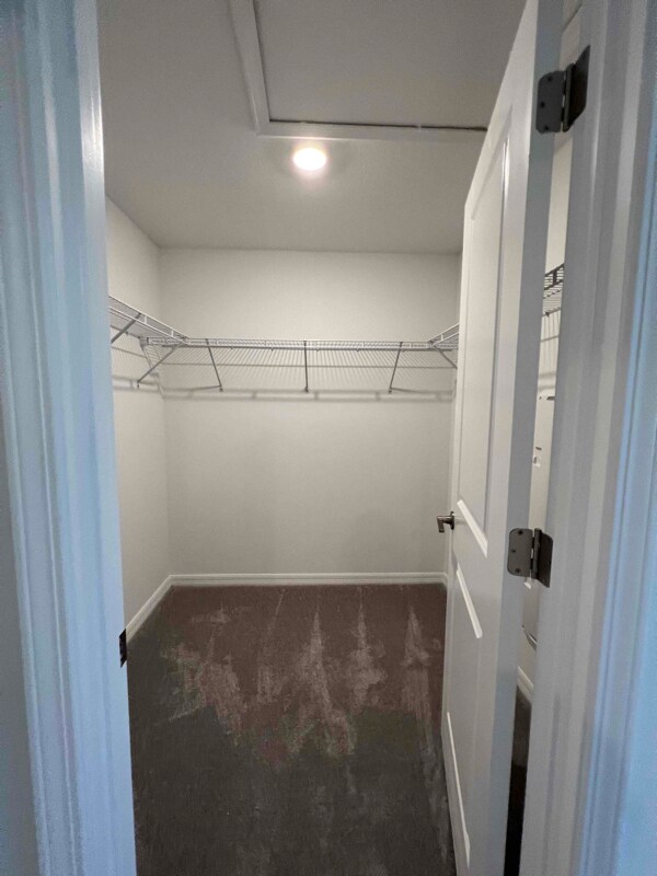 Building Photo - 32051 Powderpuff Mimosa Dr