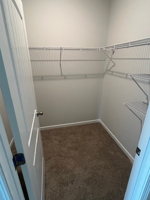 Building Photo - 5433 Conifer Ln