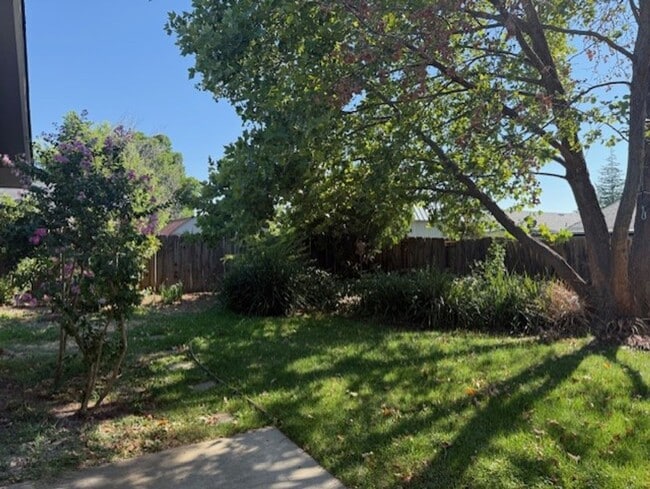 Building Photo - 3 Bedroom Home In Quail Ridge