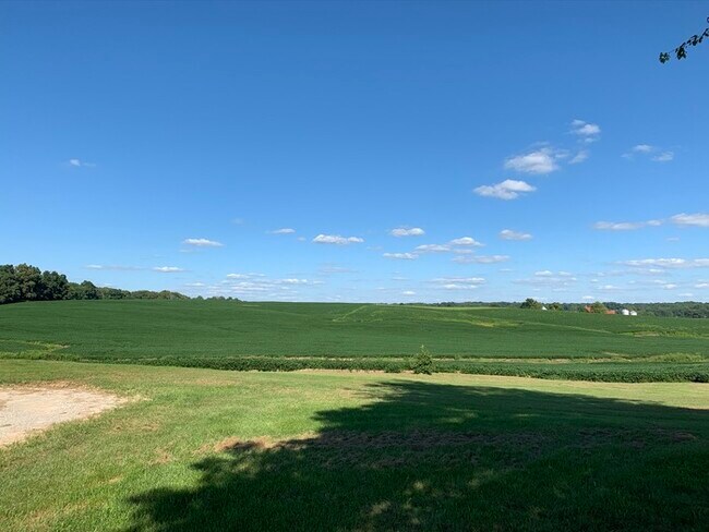 Building Photo - 4 bedroom farm house!