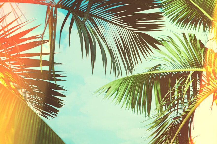 Building Photo - River Oak at Fernwood Forest