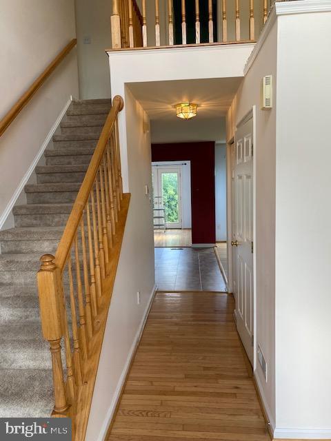 Building Photo - 312 Foxtail Ln