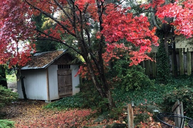 Backyard retreat - 1525 Dawnview Dr