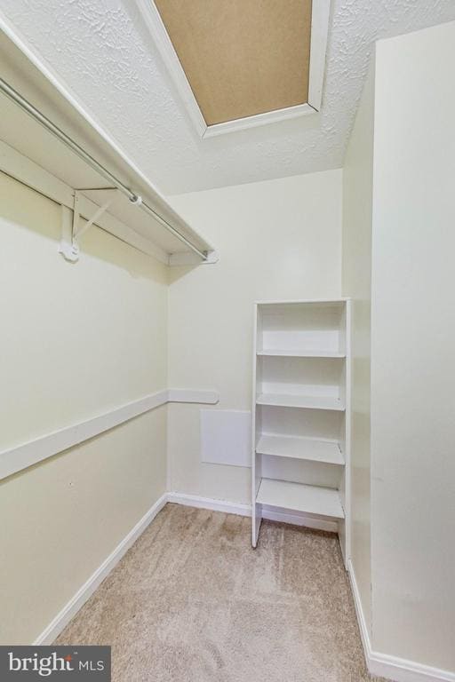Building Photo - 896 Windbrooke Dr