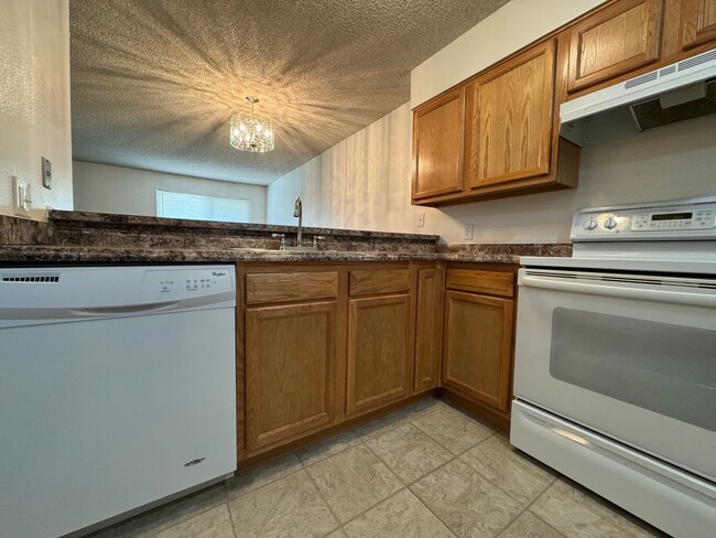 Building Photo - Great Studio Condo