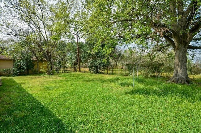 Building Photo - 5515 Flamingo Dr