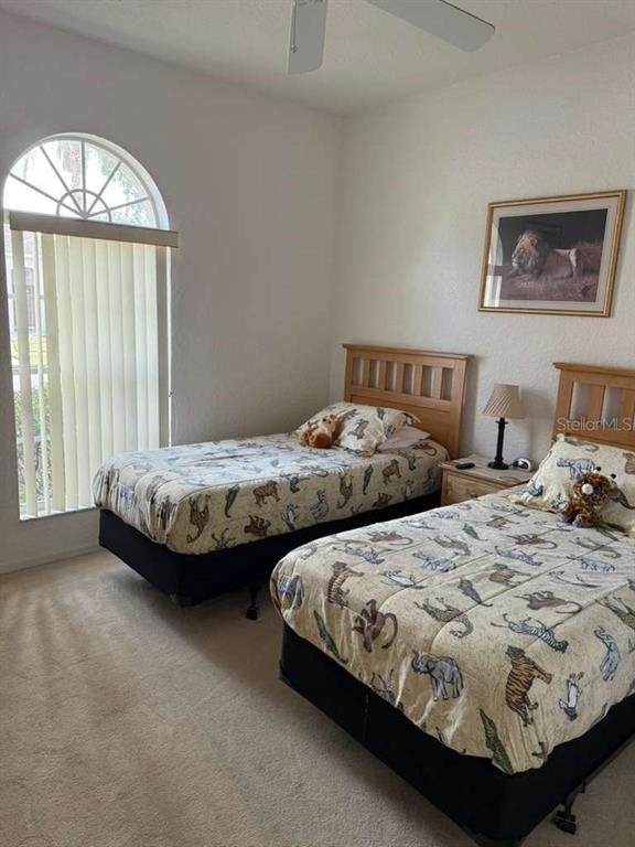 Building Photo - 543 Birkdale St