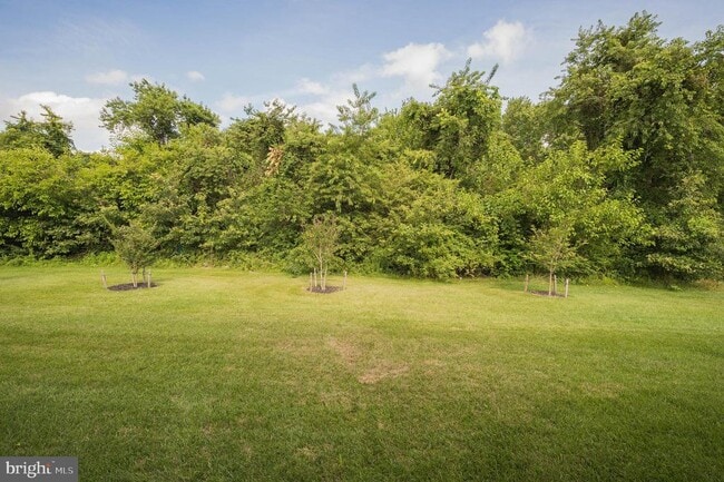 Building Photo - 417 Creekbed Cir