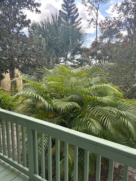 View from Back Deck - 149 Club House Blvd