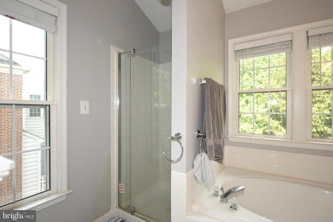 Building Photo - 556 Winding Rose Dr