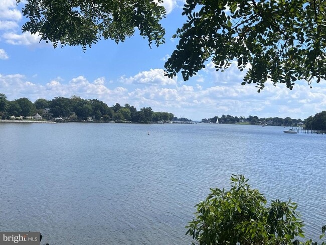 Building Photo - 1 Punte Ln