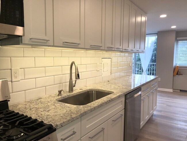 Sink :-) - 1225 Martha Custis Dr