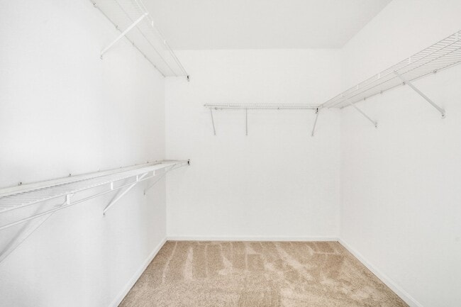 Building Photo - 849 Bell Flower Ln