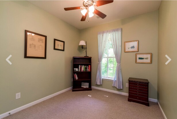 Bedroom 4 in full Basement - 217 Brushy Creek Ln