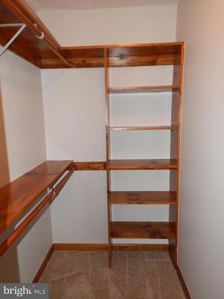 Building Photo - 43974 White Cedar Ln