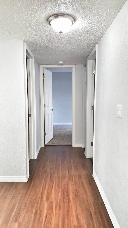 Building Photo - 9847 Seminole Blvd