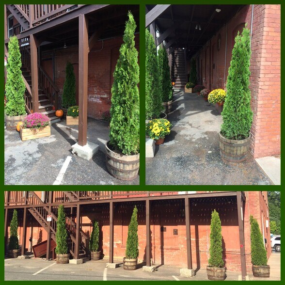 rear - 285 Pleasant St