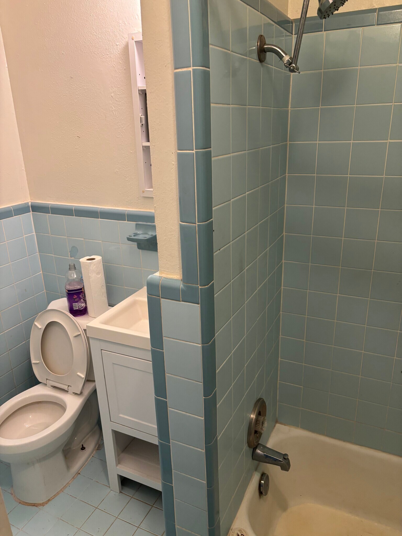 Master BR Bathroom - 437 W Magnolia Ave