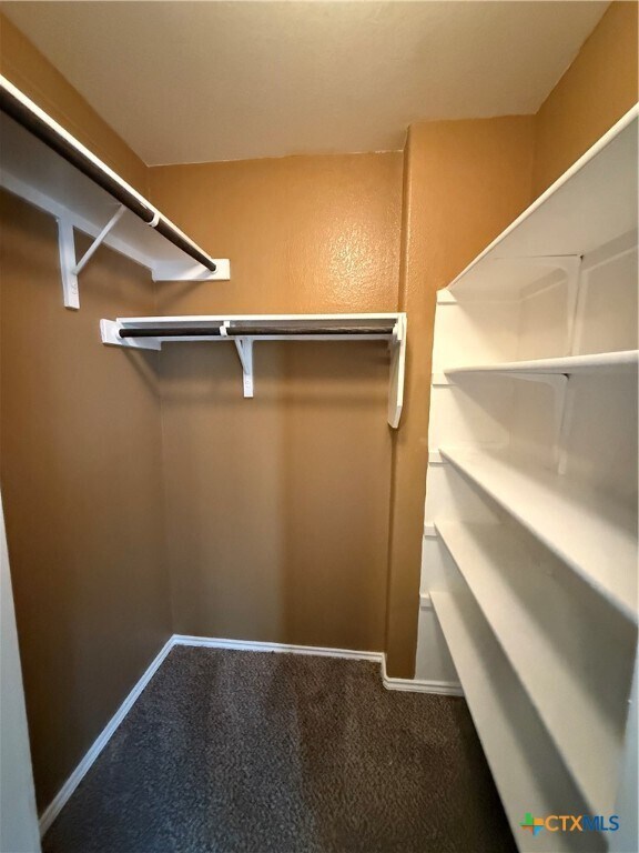 Building Photo - 305 Leather Oak Loop