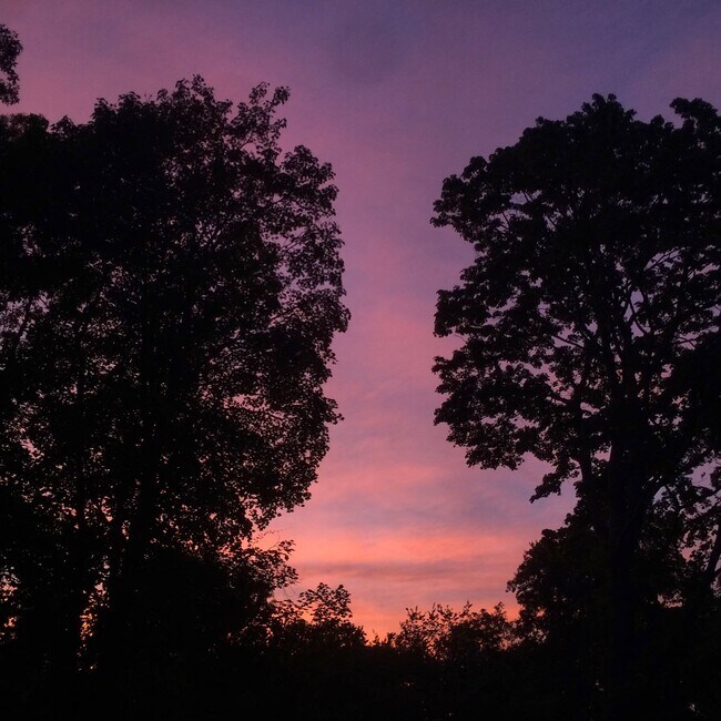 Building Photo - 81 Hampton St