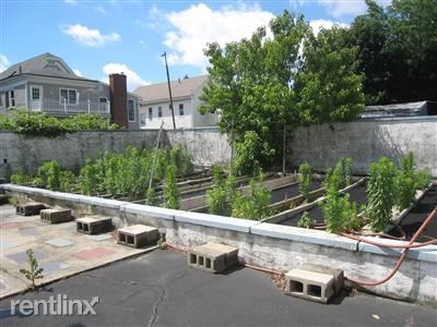 Building Photo - 3 br, 1 bath  - 254 Harvard St