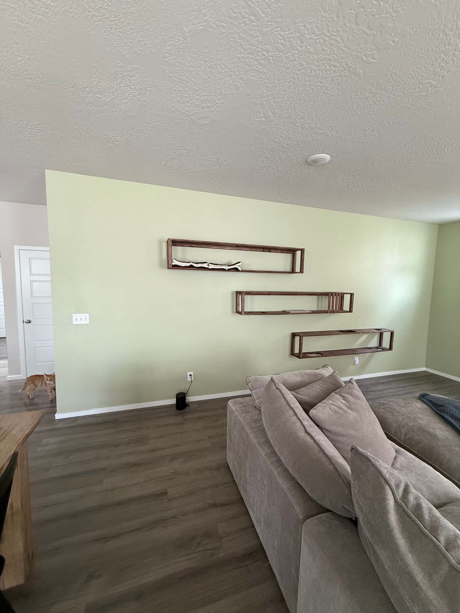 Shelves to hang plants or cats can hangout (actual intention) - 24369 E Harrier Loop