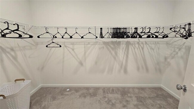 Building Photo - 5815 Le Marin Wy