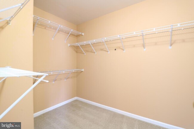 Building Photo - 25497 Carrington Dr