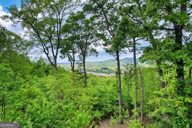 Building Photo - 911 Summit Way