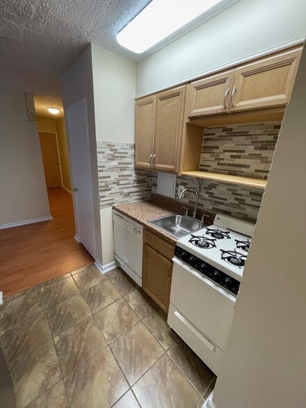 Updated Kitchen - 2101 Chestnut