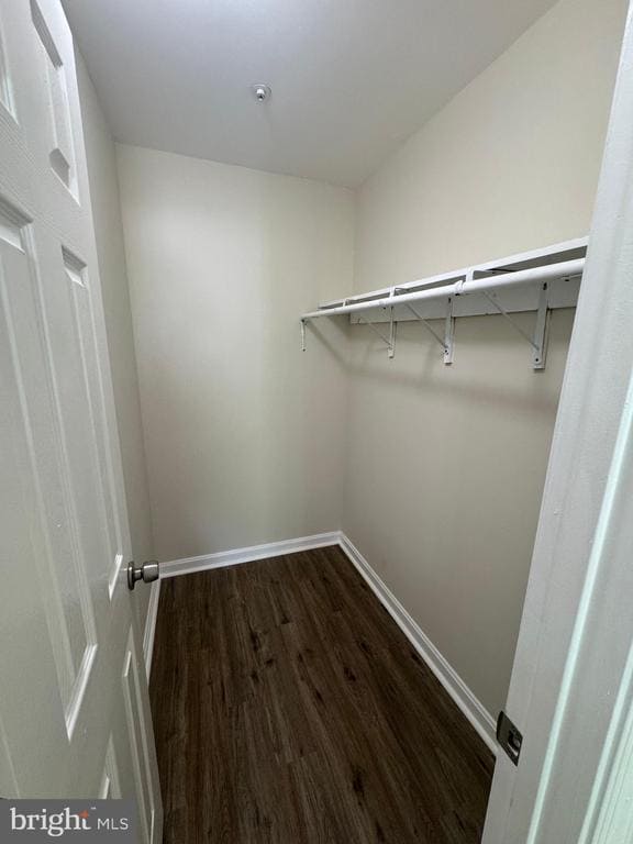 Building Photo - 6007 Rose Bay Dr