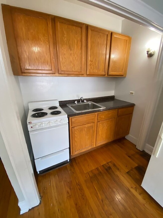 Building Photo - Large Studio! Near Red Line & Lake!