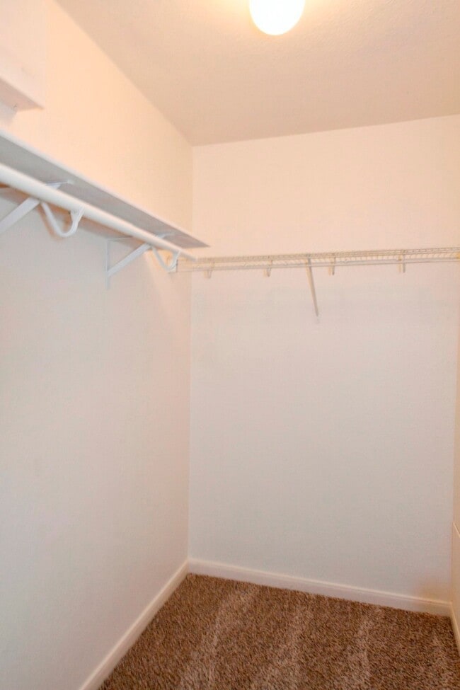 Building Photo - 13070 Lawsons Creek Ln