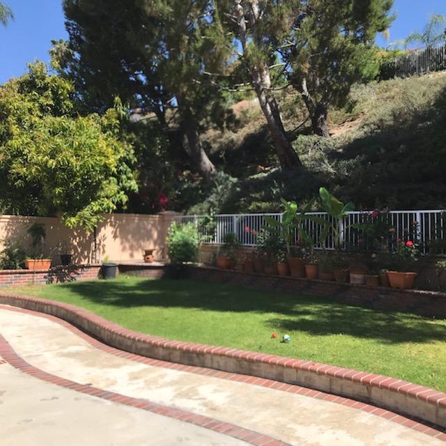 Building Photo - 1000 Calle Allegre