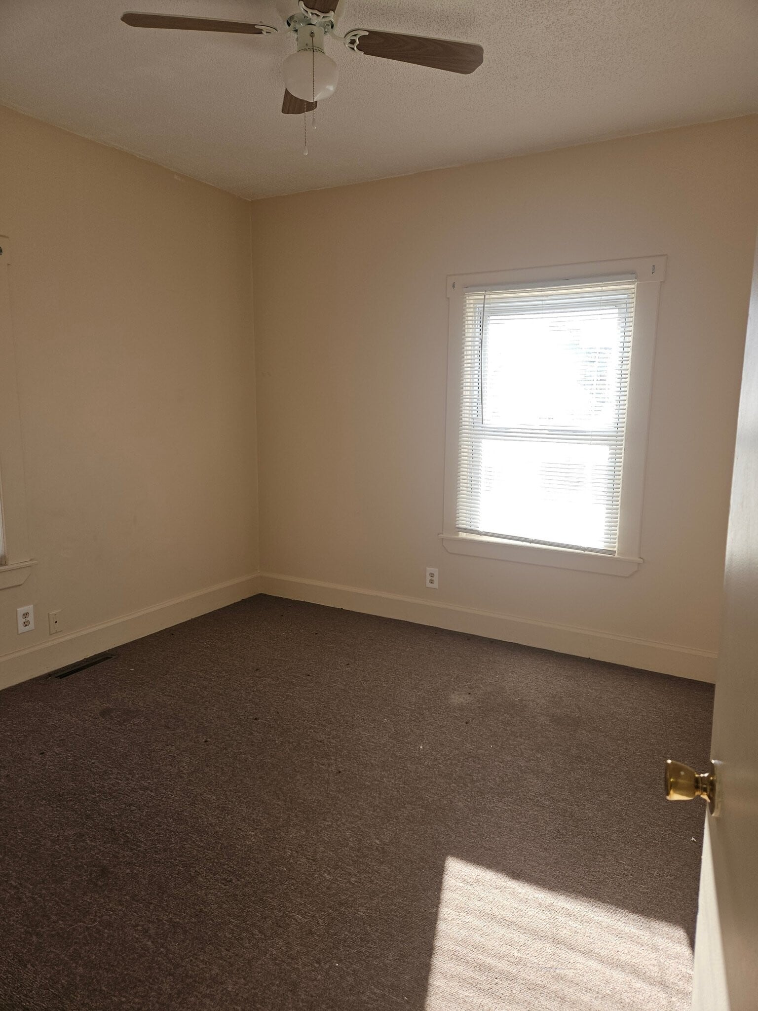 Building Photo - 91 Andrew St