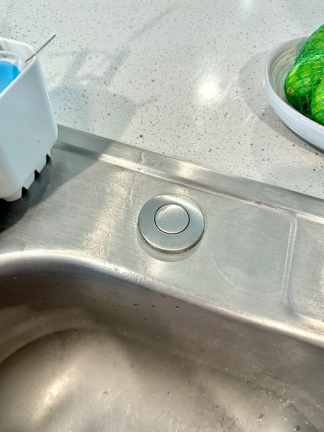 disposal button - 18918 Sorento Bay Ln